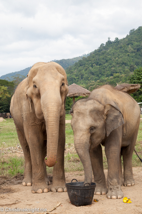 Elephant Nature Park, Chiang Mai, Thailand