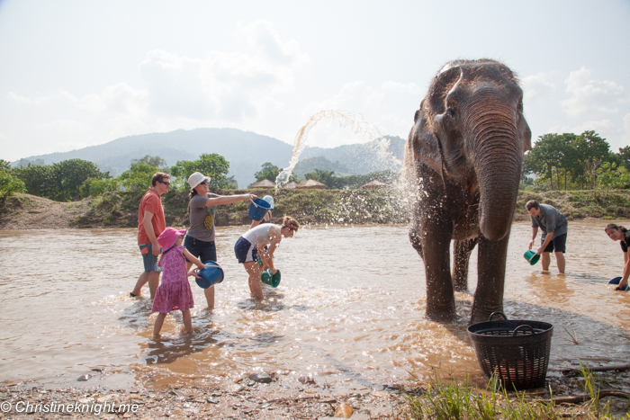 Elephant Nature Park, Chiang Mai, Thailand