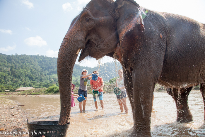 Elephant Nature Park, Chiang Mai, Thailand