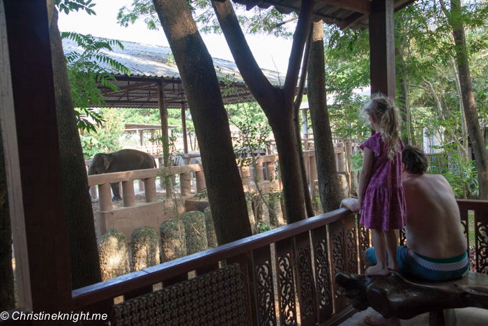 Elephant Nature Park, Chiang Mai, Thailand