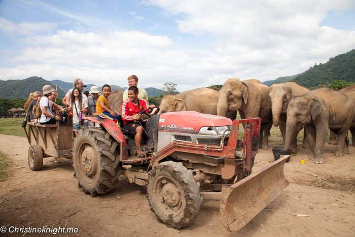 Elephant Nature Park, Chiang Mai, Thailand