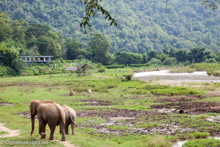 Elephant Nature Park, Chiang Mai, Thailand