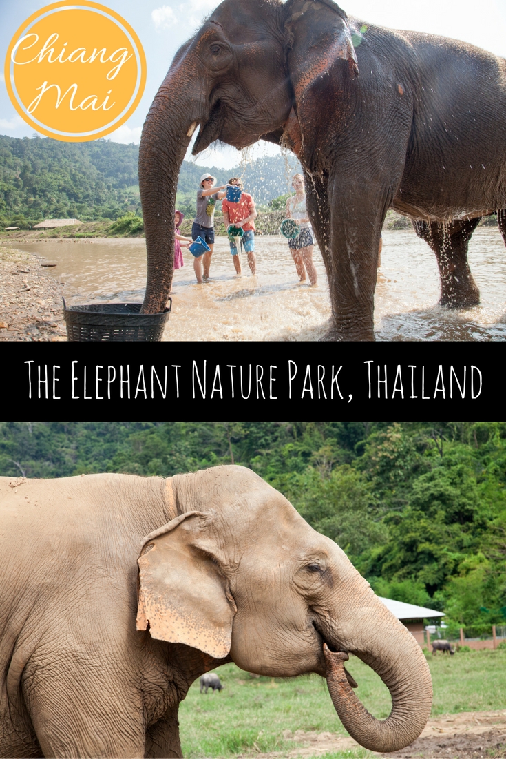 Elephant Nature Park, Chiang Mai, Thailand