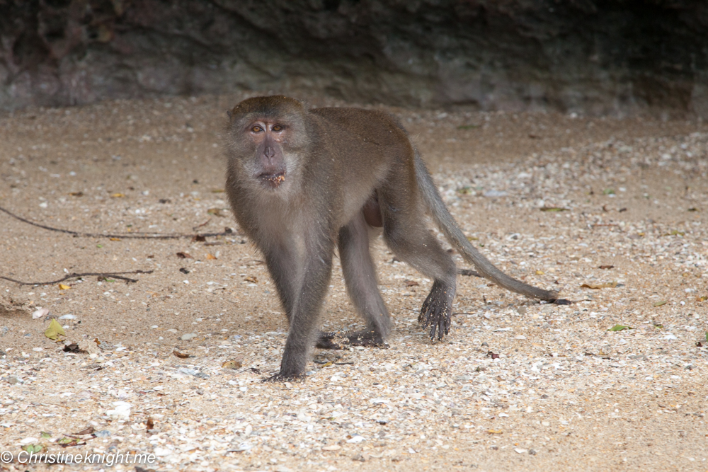 Phuket Day Trips: Phang Nga Bay & James Bond Island