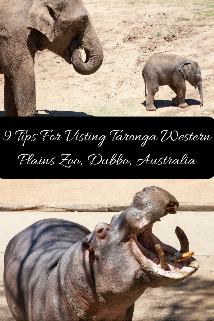 9 Tips For Visting Taronga Western Plains Zoo Dubbo Adventure, baby!