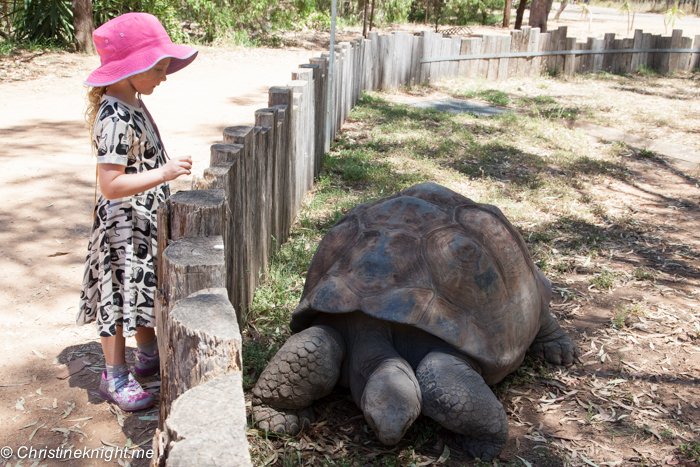 9 Tips For Visiting Taronga Western Plains Zoo, Dubbo, Australia