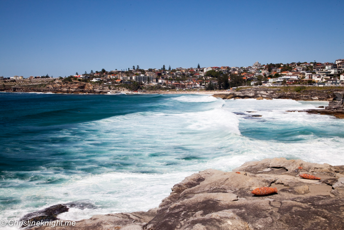 Sculpture by the Sea, Bondi, Sydney, Australia