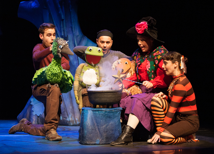 Room On The Broom The Stage Show