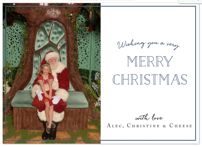 A Merry Christmas with Minted Holiday Cards