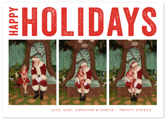 A Merry Christmas with Minted Holiday Cards