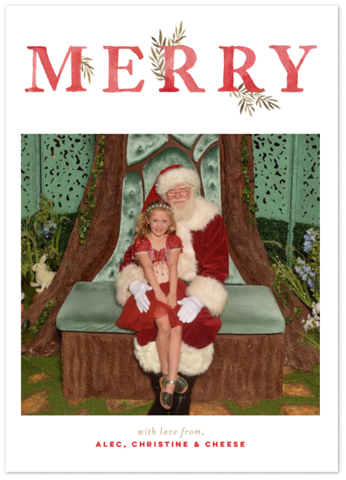 A Merry Christmas with Minted Holiday Cards