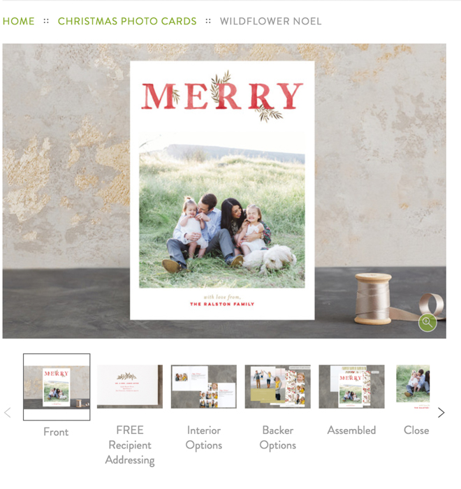 A Merry Christmas with Minted Holiday Cards