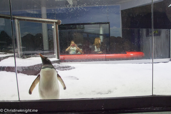 SEA LIFE Sydney Aquarium Penguin Expedition