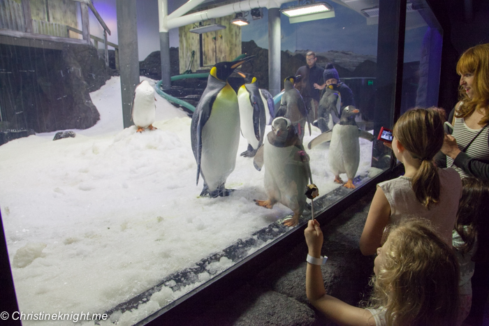 SEA LIFE Sydney Aquarium Penguin Expedition