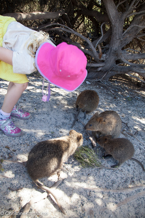 Rottnest Island, Western Australia