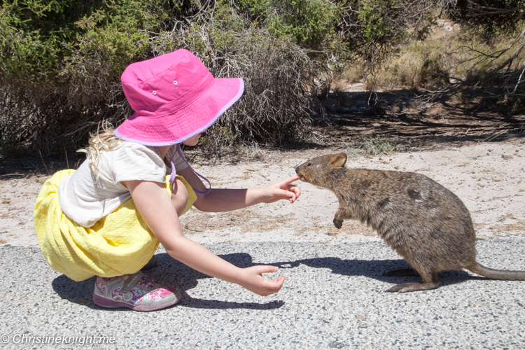 Rottnest Island, Western Australia