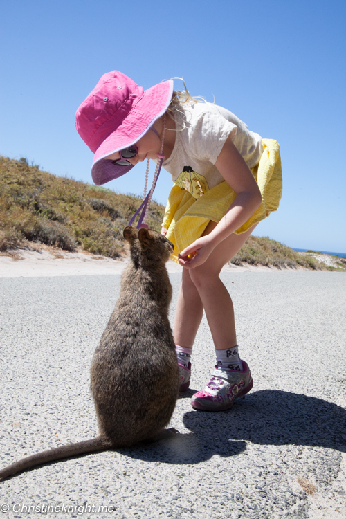 Rottnest Island, Western Australia