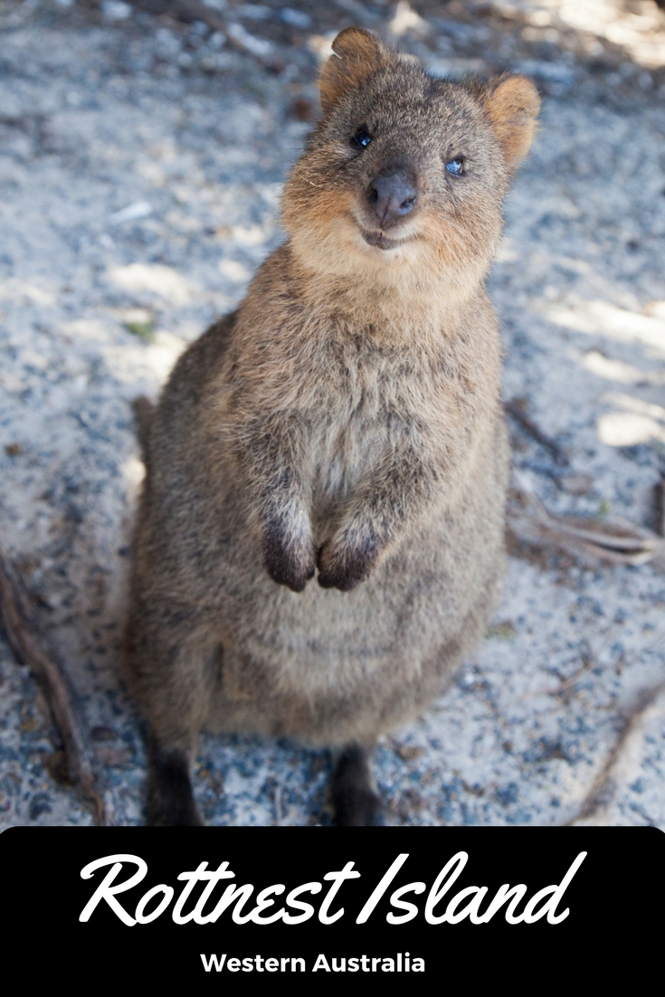 Rottnest Island, Western Australia