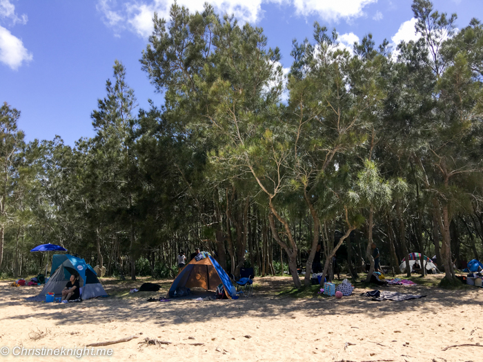 Wattamolla Beach National Park, Sydney, NSW, Australia