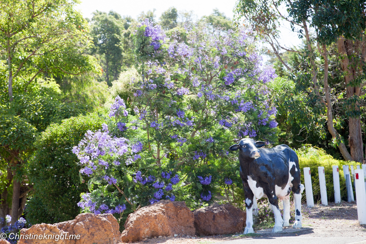 Cowaramup, Margaret River, Western Australia