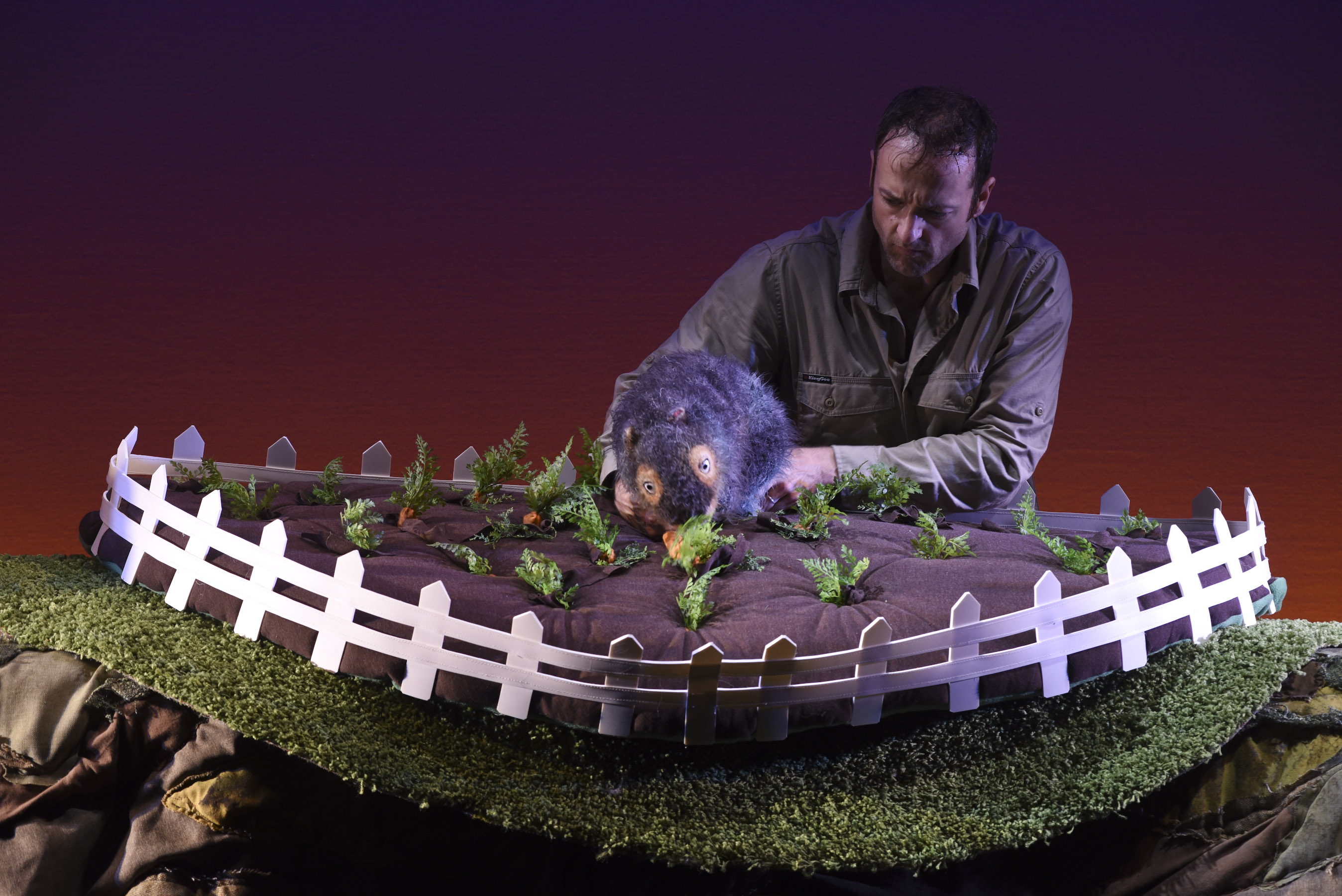 Diary of a Wombat by Monkey Baa Theatre Company, Sydney