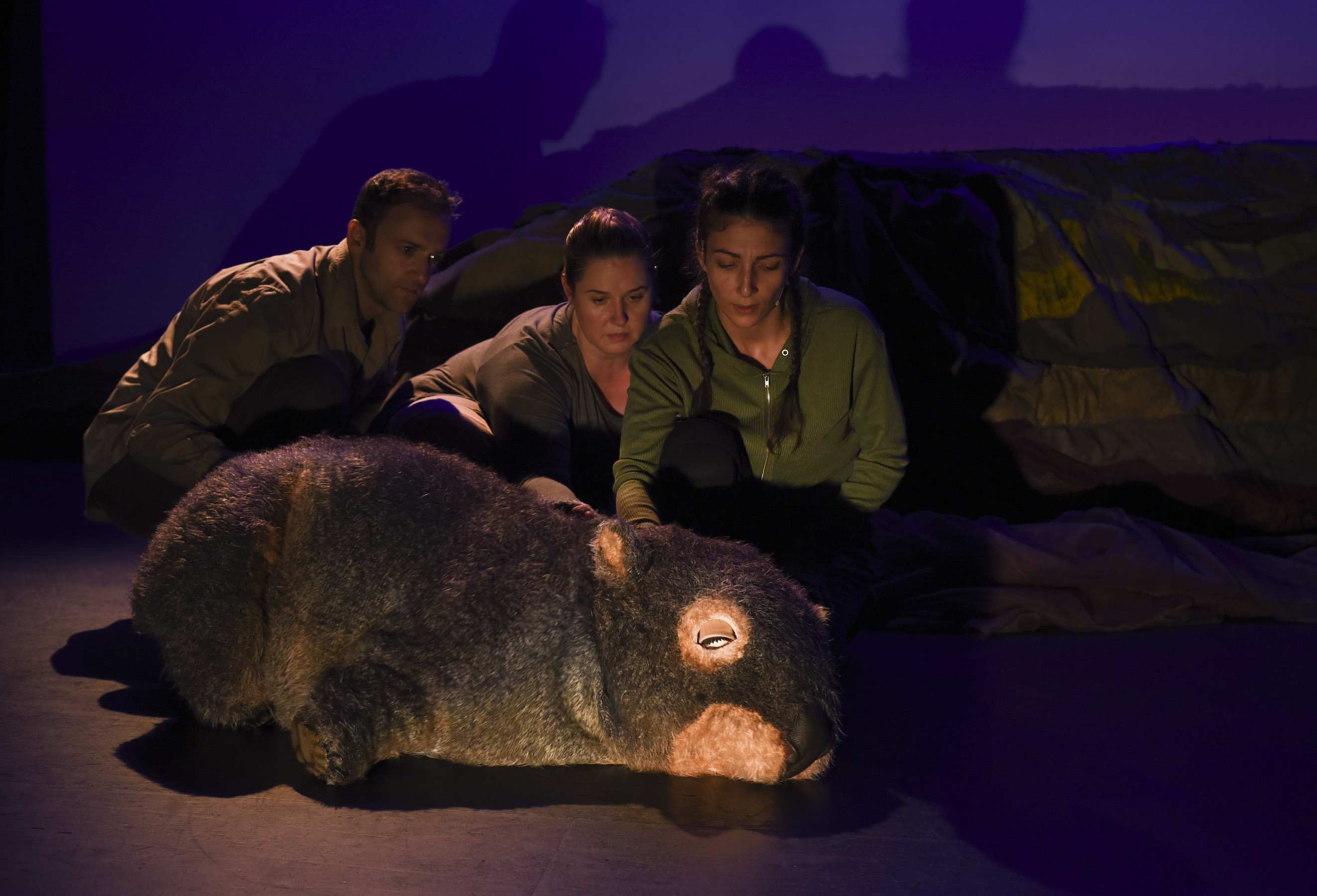 Diary of a Wombat by Monkey Baa Theatre Company, Sydney