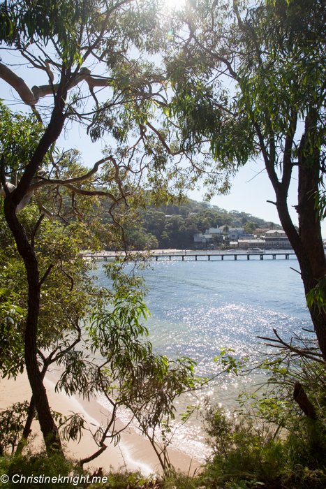 Clifton Gardens Beach Sydney