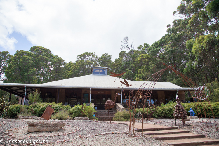 A Drive Through The Boranup Karri Forest, Western Australia