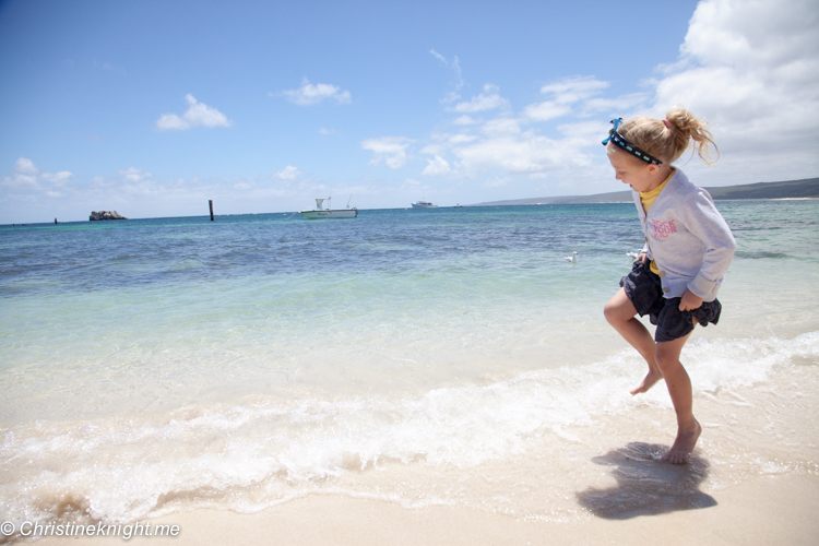 Hamelin bay Stingrays, Western Australia