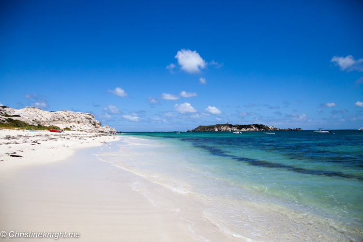 Hamelin bay Stingrays, Western Australia