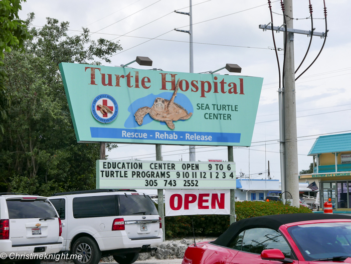 Marathon Turtle Hospital, Florida Keys, via christineknight.me