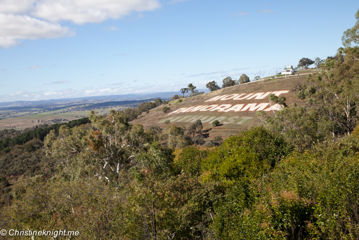 Things To See & Do In Historic Bathurst, NSW