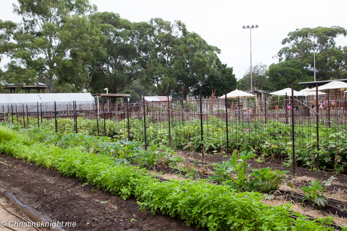 Camperdown Commons, Sydney