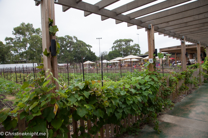 Camperdown Commons, Sydney