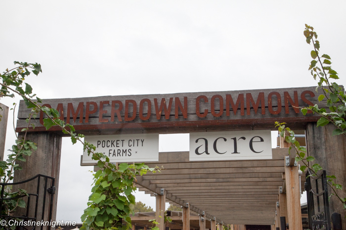 Camperdown Commons, Sydney