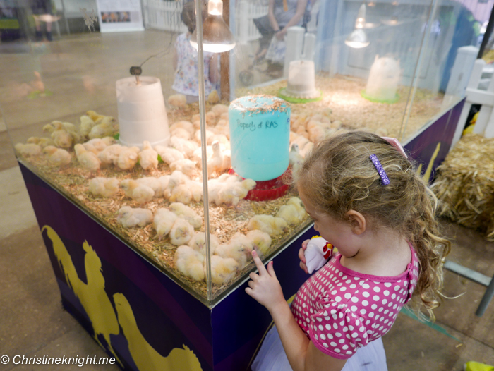 A Day at the Sydney Royal Easter Show, Sydney