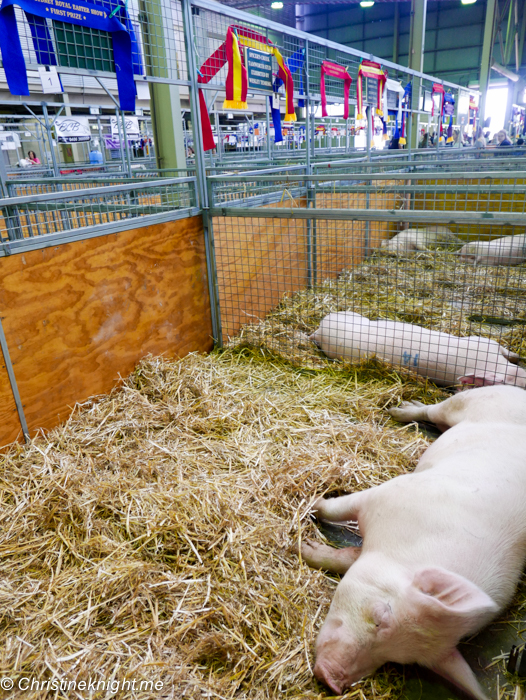 A Day at the Sydney Royal Easter Show, Sydney