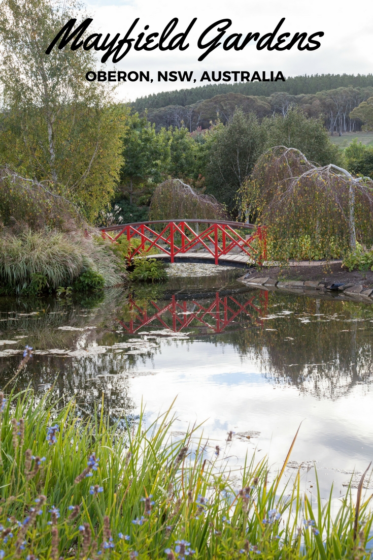 A whimsical visit to Mayfield Gardens, NSW, Australia