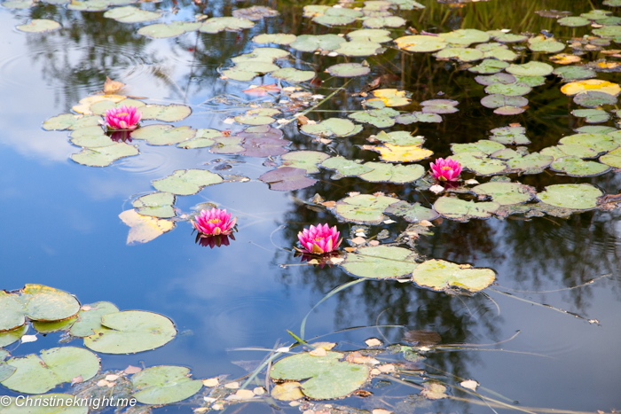 Mayfield Gardens, Oberon, NSW, Australia