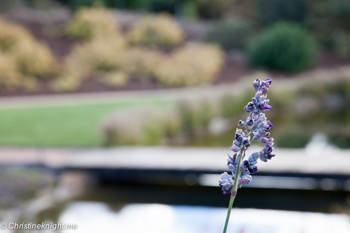 Mayfield Gardens, Oberon, NSW, Australia