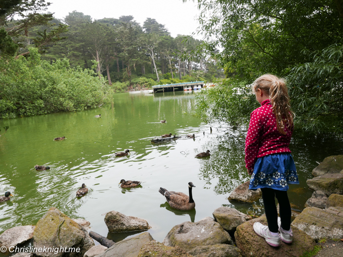 Golden Gate Park, San Francisco