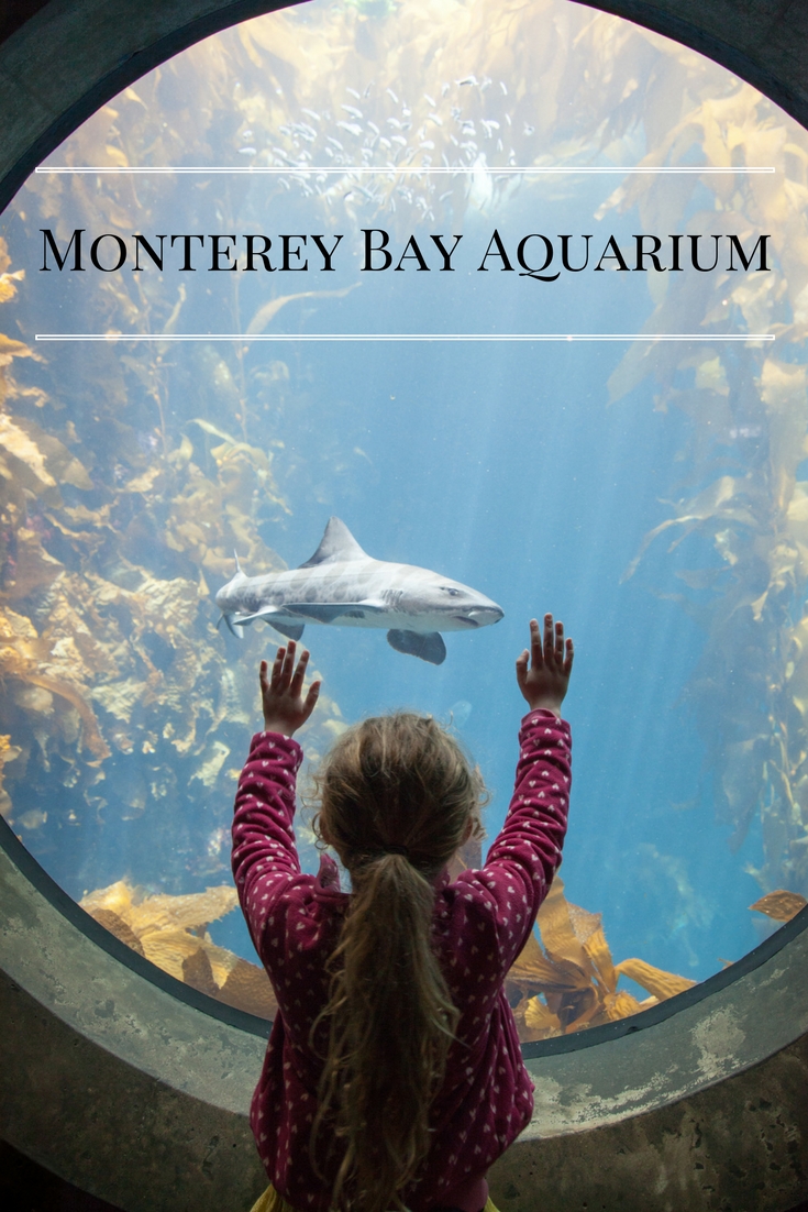 Monterey Bay Aquarium, Monterey, California, USA