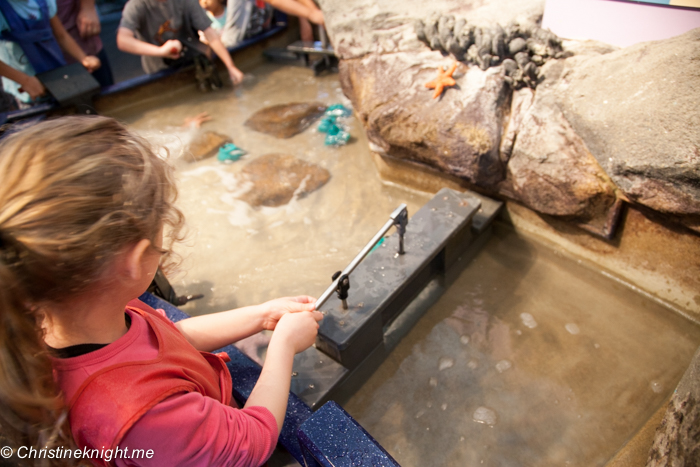 Monterey Bay Aquarium, Monterey, California, USA