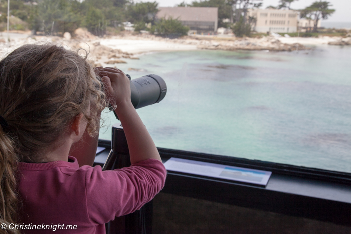 Monterey Bay Aquarium, Monterey, California, USA