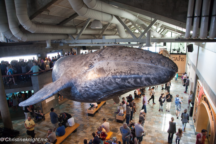 Monterey Bay Aquarium, Monterey, California, USA