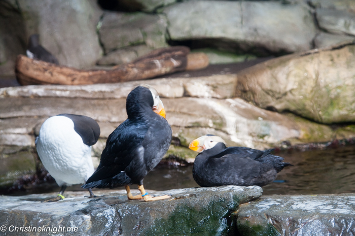 Monterey Bay Aquarium, Monterey, California, USA