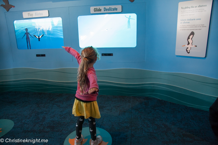 Monterey Bay Aquarium, Monterey, California, USA