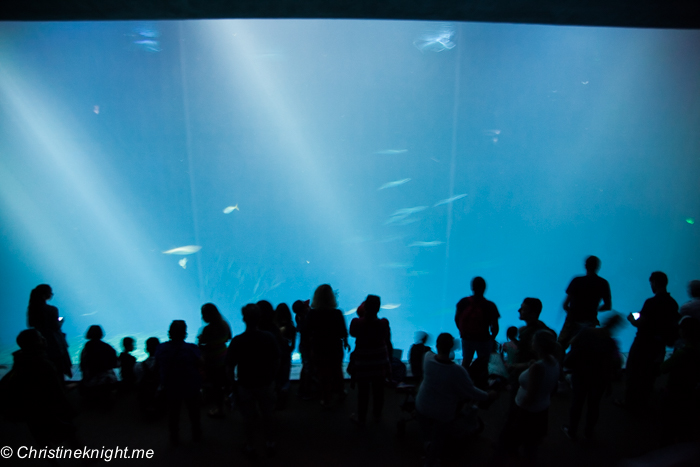 Monterey Bay Aquarium, Monterey, California, USA