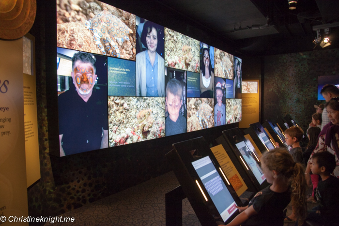 Monterey Bay Aquarium, Monterey, California, USA