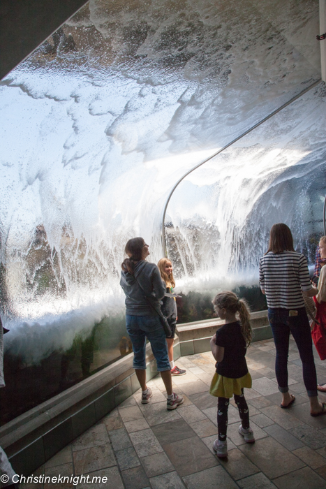 Monterey Bay Aquarium, Monterey, California, USA